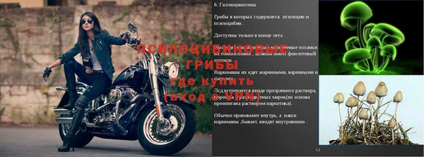 мескалин Козельск