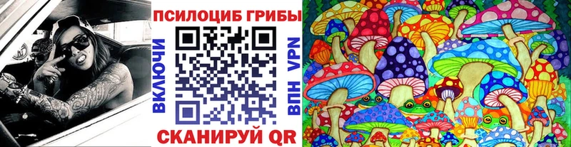 Псилоцибиновые грибы прущие грибы  Купить где  Юрьевец 